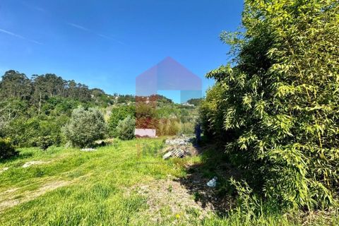 Helårsgrund i Vila Verde, Braga, Vila Verde - € 49.500 | Ref: 08188 - foto 2