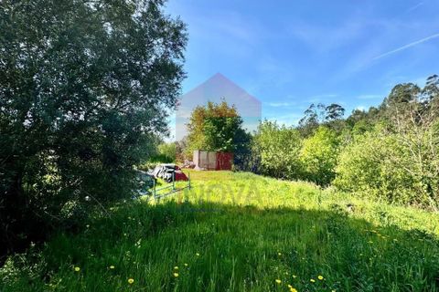 Helårsgrund i Vila Verde, Braga, Vila Verde - € 49.500 | Ref: 08188 - foto 3
