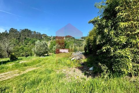 Helårsgrund i Vila Verde, Braga, Vila Verde - € 49.500 | Ref: 08188 - foto 6
