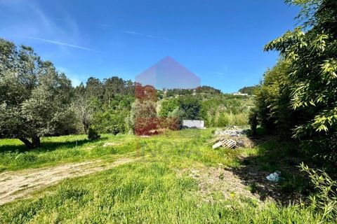 Helårsgrund i Vila Verde, Braga, Vila Verde - € 49.500 | Ref: 08188 - foto 7