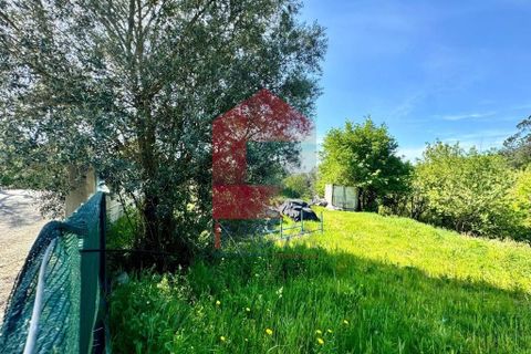 Helårsgrund i Vila Verde, Braga, Vila Verde - € 49.500 | Ref: 08188 - foto 8