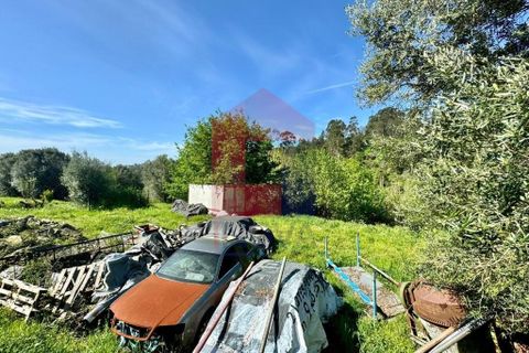 Helårsgrund i Vila Verde, Braga, Vila Verde - € 49.500 | Ref: 08188 - foto 10