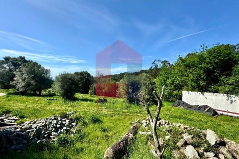 Helårsgrund i Vila Verde, Braga, Vila Verde - € 49.500 | Ref: 08188 - foto 15