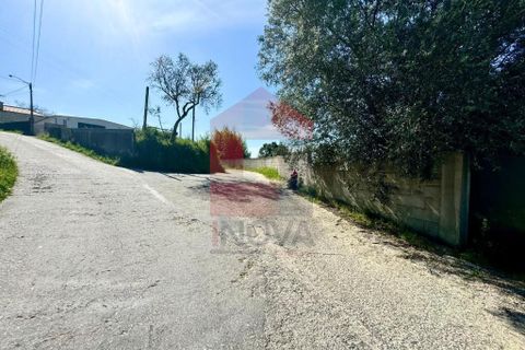 Helårsgrund i Vila Verde, Braga, Vila Verde - € 49.500 | Ref: 08188 - foto 21