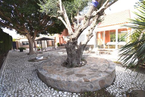 Landejendom i Elche, Alicante, Elche - € 499.900 | Ref: CAS_1968/10946 - foto 10