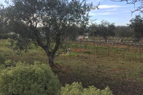 Landejendom i Ostuni, Brindisi, Ostuni - € 799.000 | Ref: 138 - foto 18