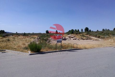 Erhvervsejendom i Meda, Guarda, Meda - € 25.000 | Ref: 60/MDA - foto 2