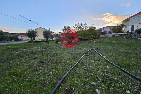 Villa a Carregal, Leiria, Carregal - € 86.500 | Ref: 1718 - foto 9