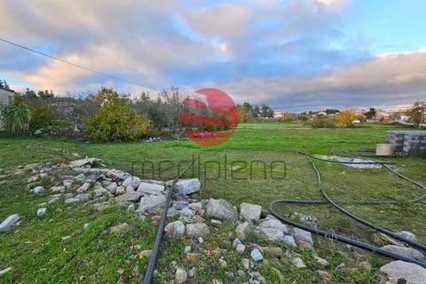 Villa a Carregal, Leiria, Carregal - € 86.500 | Ref: 1718 - foto 10
