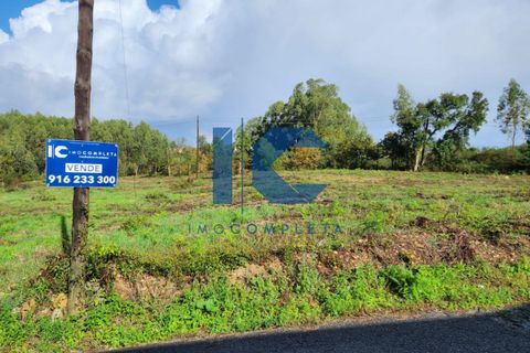 Helårsgrund i Agueda, Aveiro, Agueda - € 150.000 | Ref: 20230900902 - foto 3
