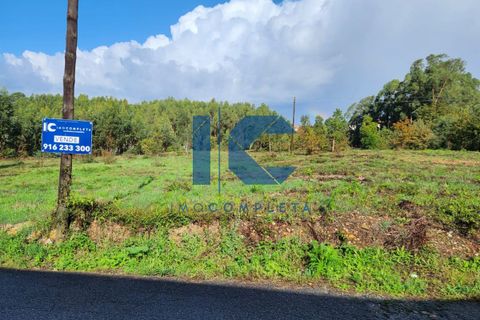 Helårsgrund i Agueda, Aveiro, Agueda - € 150.000 | Ref: 20230900902 - foto 4