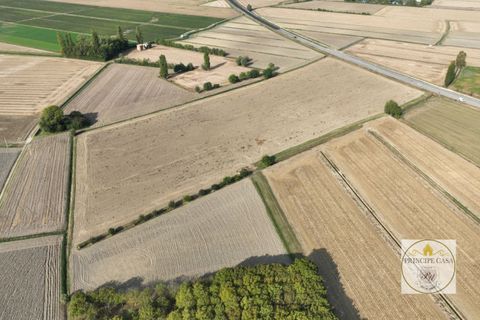 Helårsgrund i Este, Padua, Este - € 190.000 | Ref: T162 - foto 2