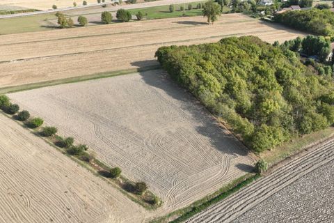 Helårsgrund i Este, Padua, Este - € 190.000 | Ref: T162 - foto 4
