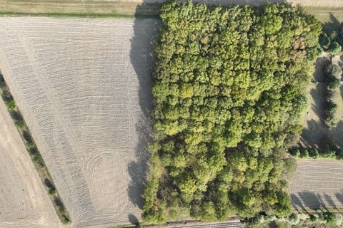 Helårsgrund i Este, Padua, Este - € 190.000 | Ref: T162 - foto 5