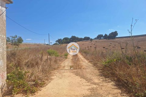 Helårsgrund i Ourique, Beja, Ourique - € 350.000 | Ref: 1TC2881 - foto 10