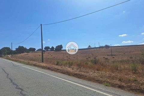 Helårsgrund i Ourique, Beja, Ourique - € 350.000 | Ref: 1TC2881 - foto 12