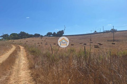 Helårsgrund i Ourique, Beja, Ourique - € 350.000 | Ref: 1TC2881 - foto 15