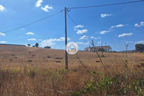 Helårsgrund i Ourique, Beja, Ourique - € 350.000 | Ref: 1TC2881 - foto 16
