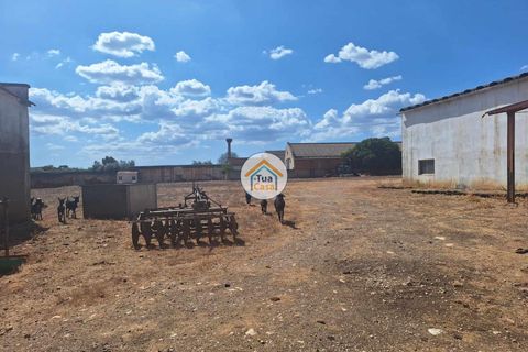 Helårsgrund i Ourique, Beja, Ourique - € 500.000 | Ref: 1TC2892 - foto 2
