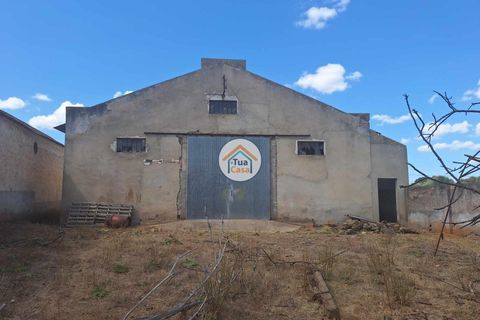 Helårsgrund i Ourique, Beja, Ourique - € 500.000 | Ref: 1TC2892 - foto 3