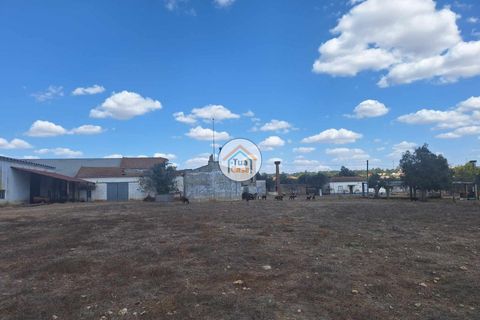 Helårsgrund i Ourique, Beja, Ourique - € 500.000 | Ref: 1TC2892 - foto 4