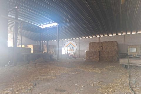 Helårsgrund i Ourique, Beja, Ourique - € 500.000 | Ref: 1TC2892 - foto 8