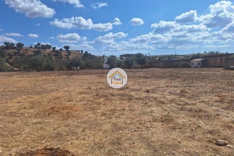 Helårsgrund i Ourique, Beja, Ourique - € 500.000 | Ref: 1TC2892 - foto 13