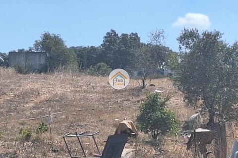 Helårsgrund i Ourique, Beja, Ourique - € 500.000 | Ref: 1TC2892 - foto 14
