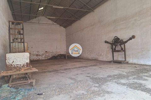 Helårsgrund i Ourique, Beja, Ourique - € 500.000 | Ref: 1TC2892 - foto 15