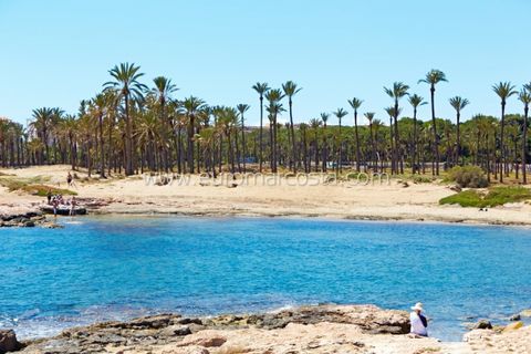 Rækkehus i Torrevieja, Alicante, Torrevieja - € 385.000 | Ref: 4321 - foto 45