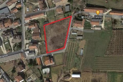 Villa a Monta, Cuneo, Monta - € 390.000 | Ref: 83608657 - foto 8