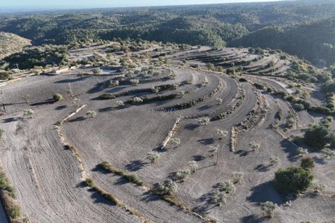 Helårsgrund i Ragusa, Ragusa, Ragusa - € 450.000 | Ref: L 953 - foto 25
