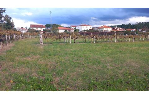 Helårsgrund i Moncao, Viana do Castelo, Moncao - € 117.000 | Ref: MNC1417T - foto 2