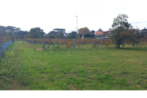 Helårsgrund i Moncao, Viana do Castelo, Moncao - € 117.000 | Ref: MNC1417T - foto 3