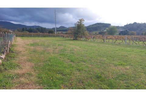 Helårsgrund i Moncao, Viana do Castelo, Moncao - € 117.000 | Ref: MNC1417T - foto 4
