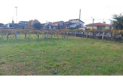 Helårsgrund i Moncao, Viana do Castelo, Moncao - € 117.000 | Ref: MNC1417T - foto 5