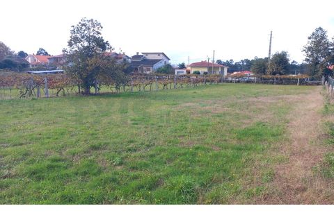 Helårsgrund i Moncao, Viana do Castelo, Moncao - € 117.000 | Ref: MNC1417T - foto 6