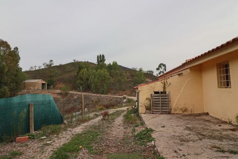 Farm i Silves, Faro, Silves - € 585.000 | Ref: 338230168 - foto 44