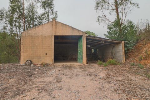 Farm i Silves, Faro, Silves - € 585.000 | Ref: 338230168 - foto 50