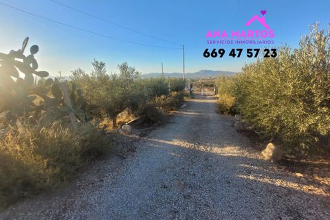 Casa de campo en Lorca, Murcia, Lorca - € 179.000 | Ref: MAS0025 - photo 23