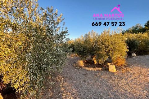 Casa de campo en Lorca, Murcia, Lorca - € 179.000 | Ref: MAS0025 - photo 35