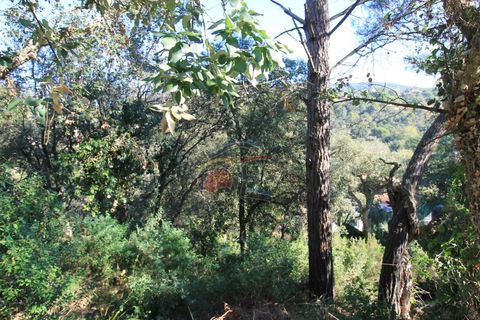 Helårsgrund i Calonge, Gerona, Calonge - € 95.000 | Ref: 1536 RDO - foto 1