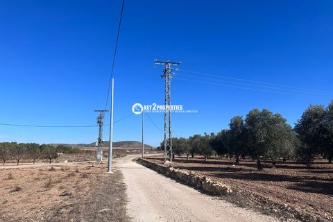 Helårsgrund i Yecla, Murcia, Yecla - € 6.500.000 | Ref: KCS3046 - foto 6