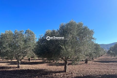 Helårsgrund i Yecla, Murcia, Yecla - € 6.500.000 | Ref: KCS3046 - foto 8
