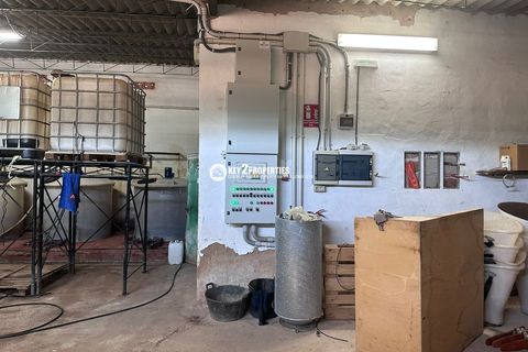 Helårsgrund i Yecla, Murcia, Yecla - € 6.500.000 | Ref: KCS3046 - foto 10