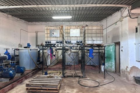 Helårsgrund i Yecla, Murcia, Yecla - € 6.500.000 | Ref: KCS3046 - foto 16