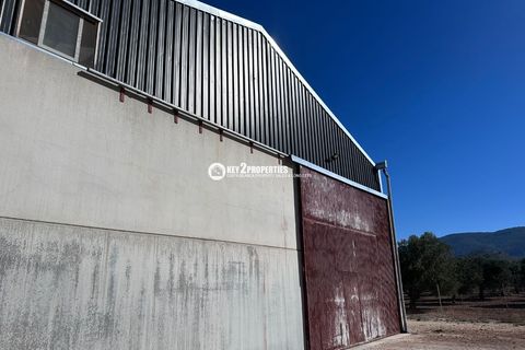 Helårsgrund i Yecla, Murcia, Yecla - € 6.500.000 | Ref: KCS3046 - foto 25