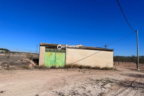 Helårsgrund i Yecla, Murcia, Yecla - € 6.500.000 | Ref: KCS3046 - foto 29