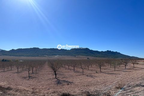 Helårsgrund i Yecla, Murcia, Yecla - € 6.500.000 | Ref: KCS3046 - foto 32