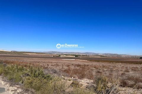 Helårsgrund i Yecla, Murcia, Yecla - € 6.500.000 | Ref: KCS3046 - foto 41
